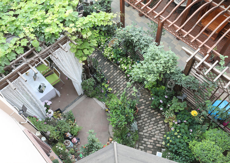 别墅|为了建花园，买了带80㎡庭院的别墅，历时4年，如今已是花开满园
