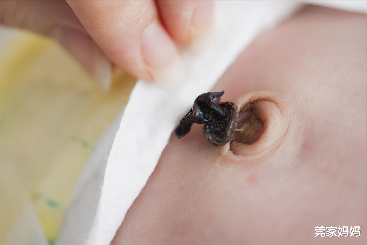 莞家妈妈|新生宝宝护理，身体有4个部位是关键，新手爸妈们别掉以轻心