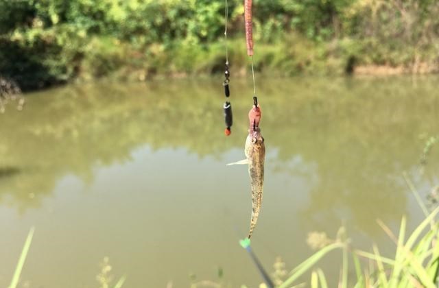 反恐|反恐重点水域也敢钓鱼？资源枯竭，禁钓紧箍咒，让钓鱼人越雷池！