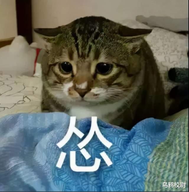 美国|黑命贵？共和党老白皮告诉你到底谁的命贵！