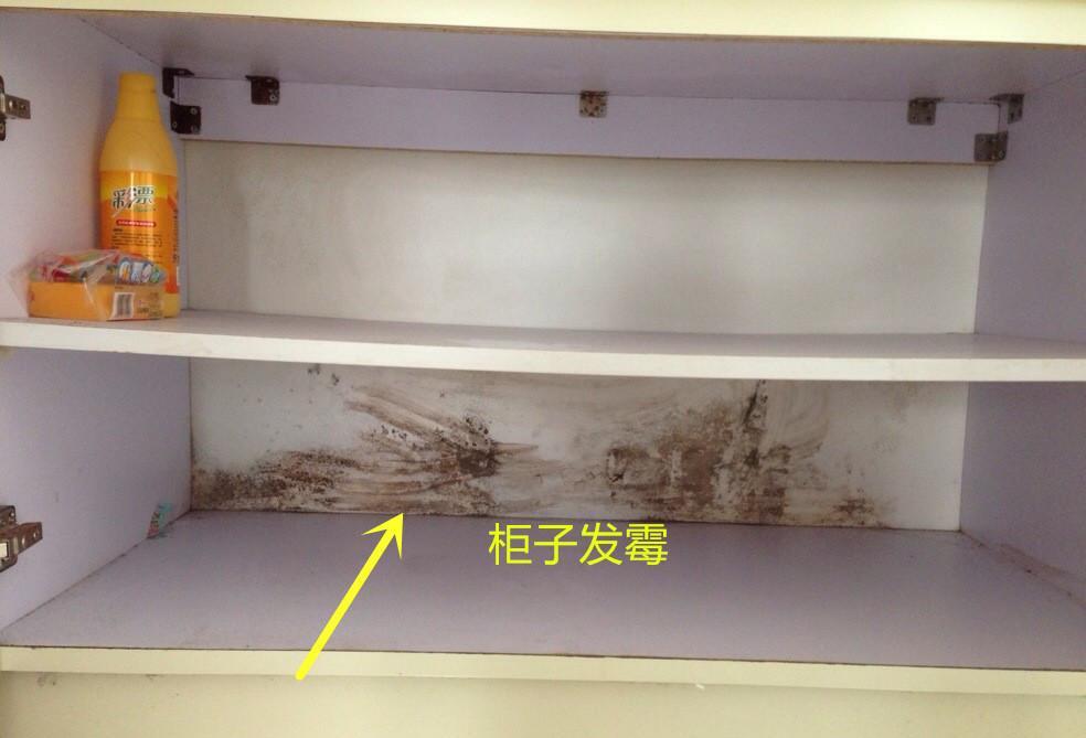 我装修时执意要把主卧卫生间改成衣帽间，现在入住时间越长越后悔