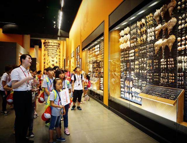 诺妈家有男宝娃|为什么有的孩子是“历史迷”？有的孩子却是“历史盲”？