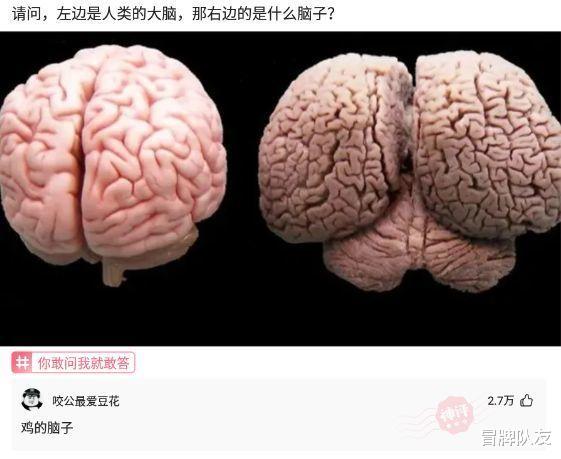 神回复:本人有现金15万,只要不违法,如何能一天进账1000元?