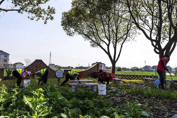 双创一线 沙溪镇荣获苏州首批农村人居环境整治典型案例
