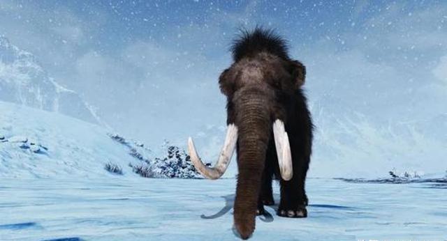 冰川期 如果全世界的温度都下降-50℃，人类还能存活吗？地球会回到冰河时代吗？