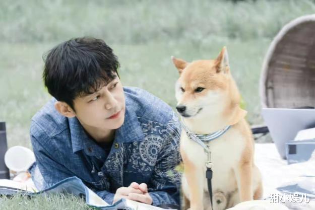 湖南卫视|湖南卫视跨年夜晚会：一代新人换旧人，四小花和齐思钧的时代来了