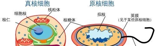 外星人 为什么找不到外星人？这个比黑暗森林还可怕的理论，给出了解释