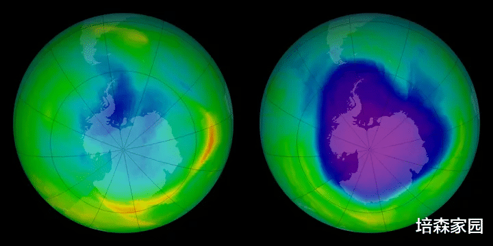 南极 臭氧空洞你了解吗？