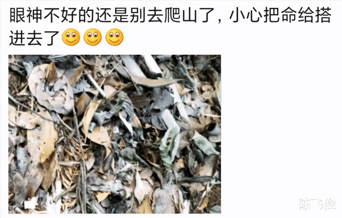 陈飞俊|爆笑动态图：女宿舍在没有男孩子的情况下，会是怎样的一番风情呢？
