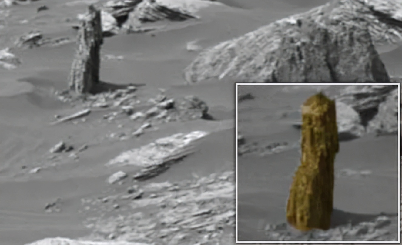 章鱼 火星上发现一根“树桩”，还原后人们兴奋不已，火星生命已找到？