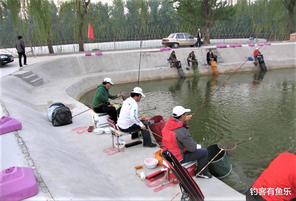 暴雨|在黑坑钓不到大鱼？并非你技术不过关，而是中了别人的小九九
