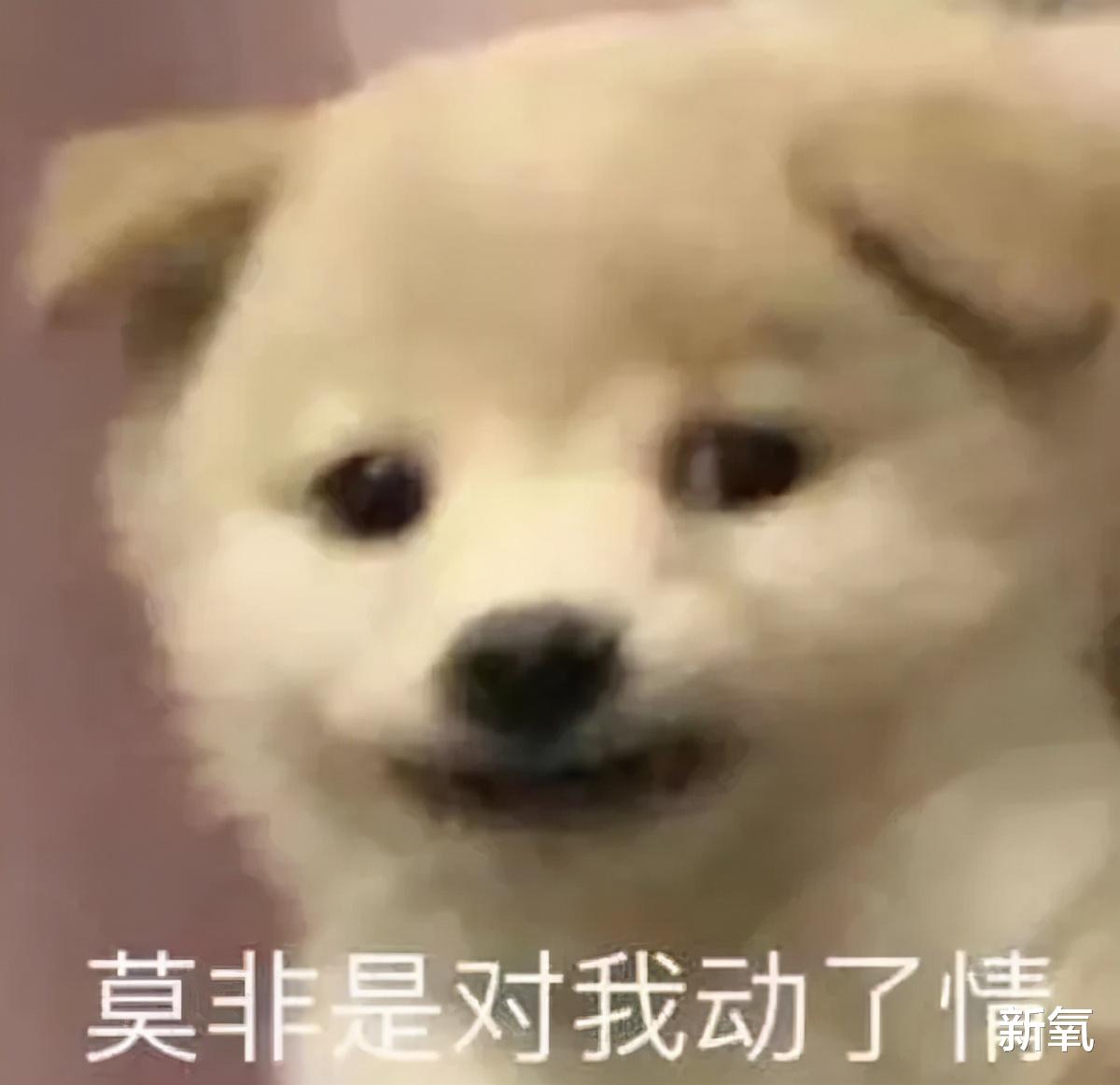 王源|过气抖音BGM天花板还能再翻红？这次居然靠的是去油失败被群嘲...