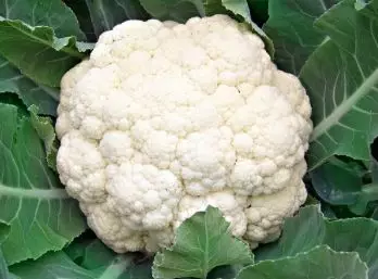 银川芽芽 吃饭老咬到腮帮子咋回事？