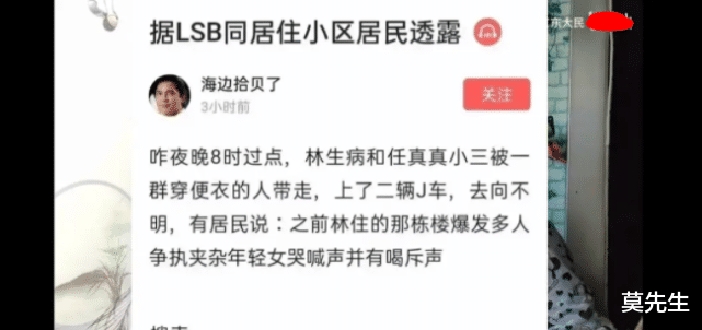林生斌|林生斌近况曝光，宋祖德确认他被带走调查，任真真姐夫成关键人物