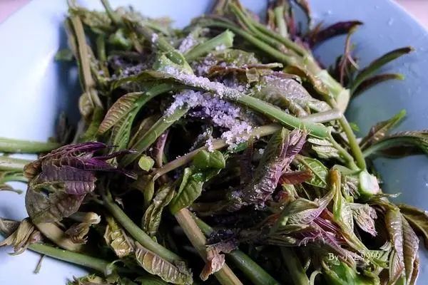 蔬菜|8种蔬菜一定不要再吃了,有毒伤肝,早知道早受益!