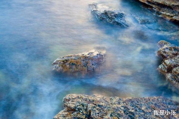 处女座|有野心，知人善用的3大生肖，有很强的洞察力，善于运筹帷幄