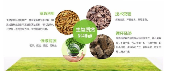 |为何说“生物质能”，是人类未来发展的重要能源？3个影响很关键