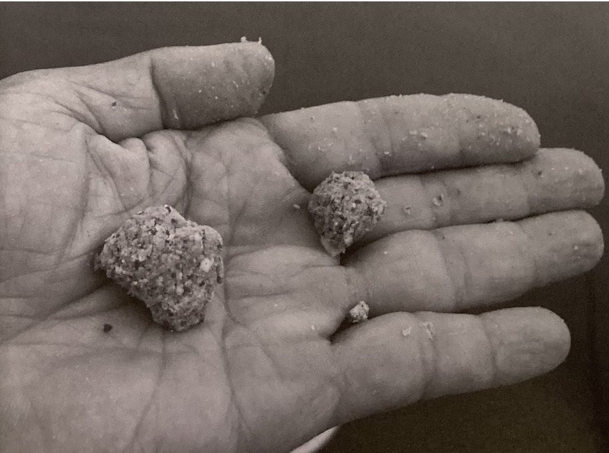 |[ 日本鲫鱼钓 ] 两饵团钓法两大类之一灯笼钓，日本专业钓鱼书籍