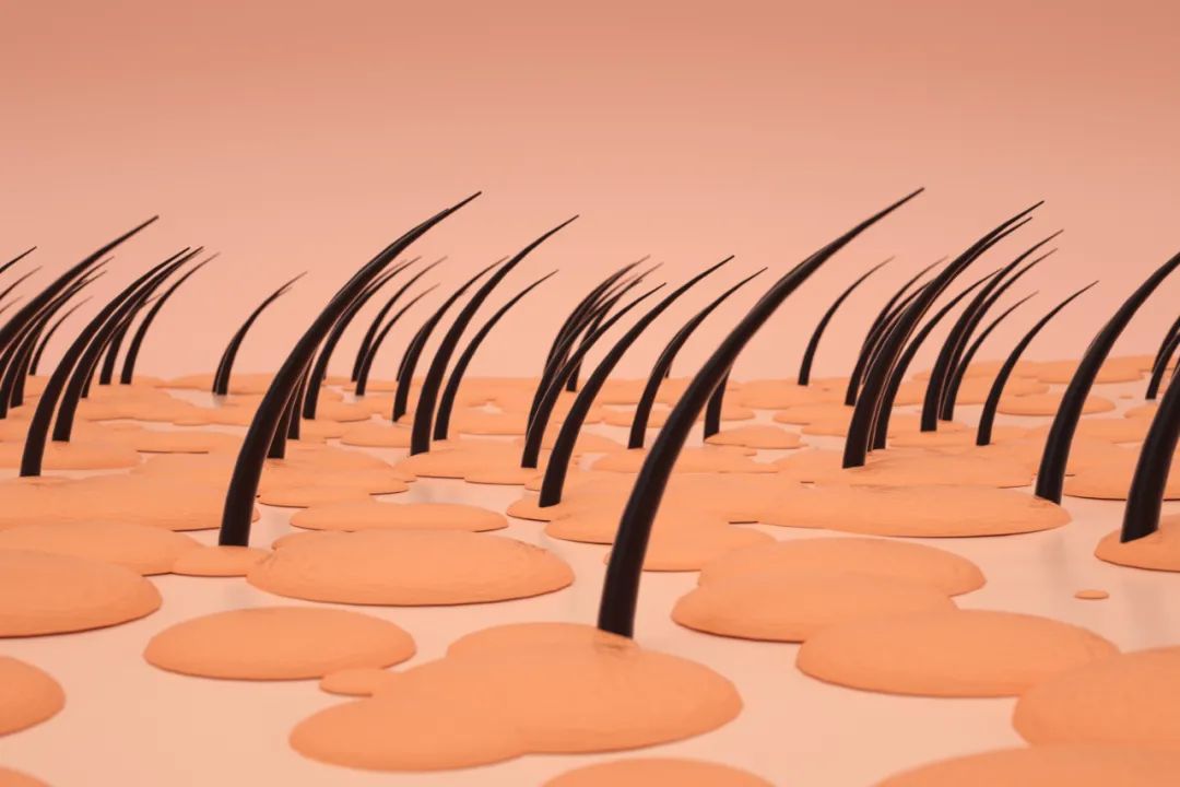 贫血|专家说 | 恶心呕吐、脱发、贫血,做化疗遇到这些“坑”该怎么办?