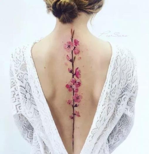 运动|练瑜伽，这些解剖常识你要知道（附28个常见体式解剖图）