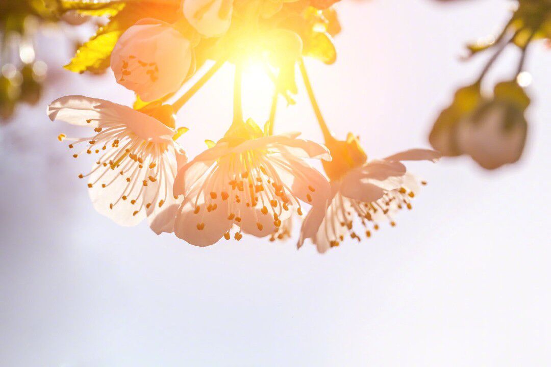 取陌生为名|很潮很酷的文字控短句，你说一句不要走，我丢下烈酒和自由