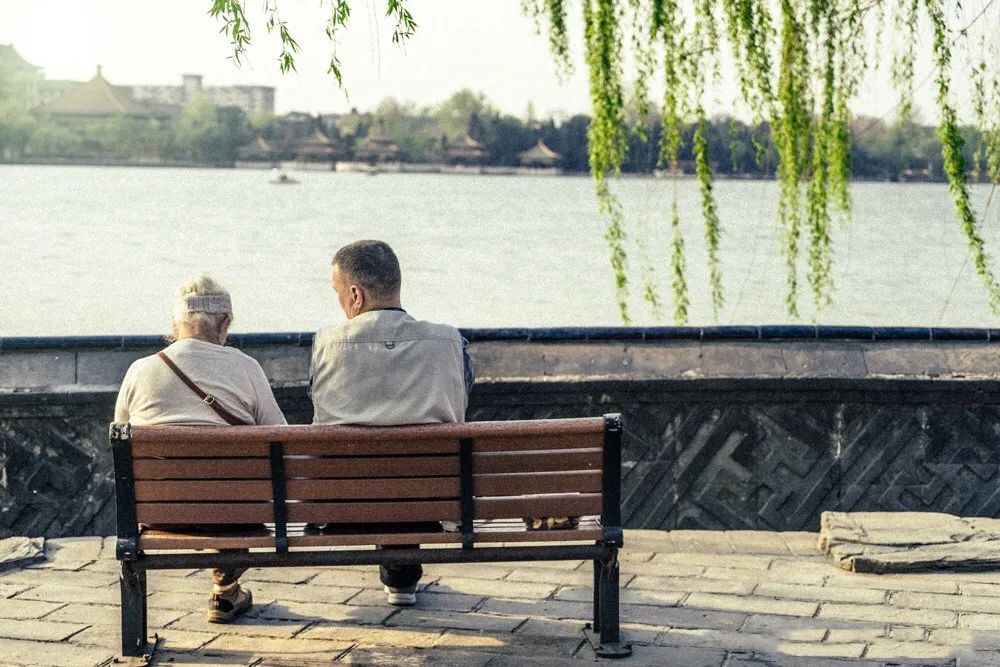 感觉会火|大学教授每天饭后都让80岁老母洗碗:“废物式养老”不是孝顺父母