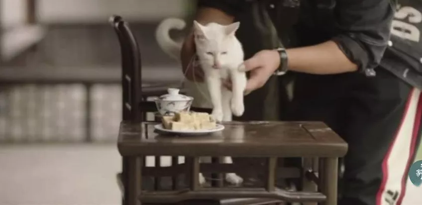 罗生门|知名导演深陷虐待丑闻，全网索要“原始视频”：果然又是他！