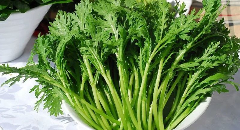 香菇|这几种难吃的菜反而能让你健康10倍?