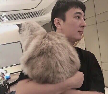 王思聪|王思聪最念念不忘的前任雪梨已成家，思聪何不和富二代宗馥莉结婚