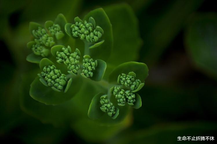 生命不止折腾不休|别人的孩子比自己的孩子重要!