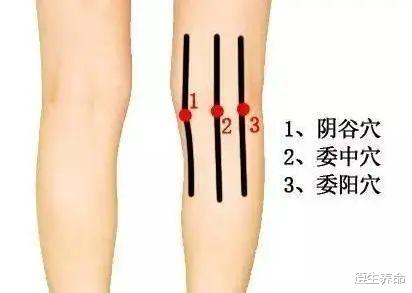 老年斑|黃帝內經｜別折騰太過，你會活得很久