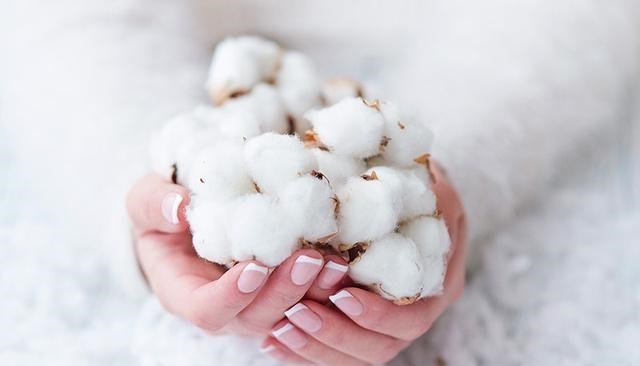 新疆棉為何被突然圍攻？世界最好棉花之一，自然環境造就最強之棉-圖4