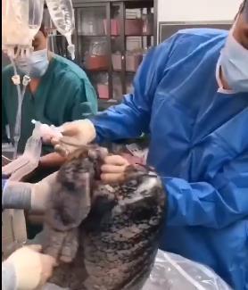 医生|“我女儿才8岁啊！”爸爸得知真相后痛哭，医生：都是吸烟惹的祸