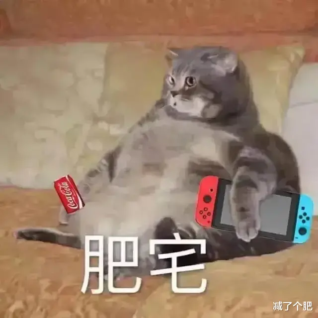 饮食|让你悄悄发胖的饭后5个习惯，你有几个？赶紧自查一下