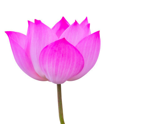 星临天下|下周开始，吉星照耀，4属相事业步步高升，日子越来越红火