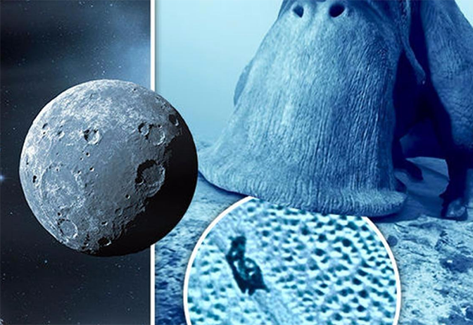行星 被科学家推上神坛的星球，最后又被打落神坛，星体像色彩斑斓的画