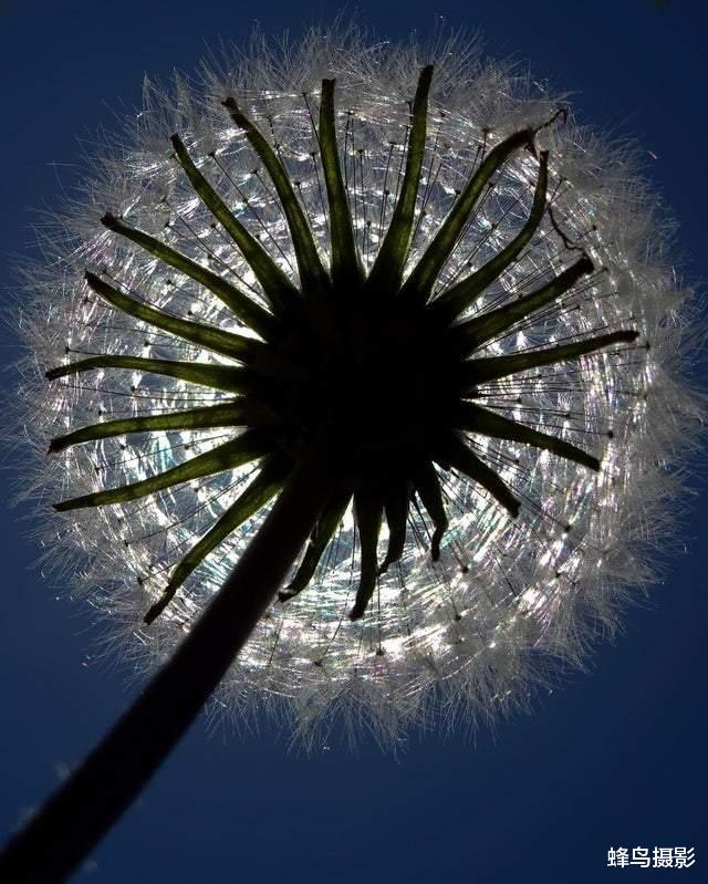 陨石 33张罕见的照片，国外硬币里的剑可以拔出，戒指用恐龙骨陨石制造