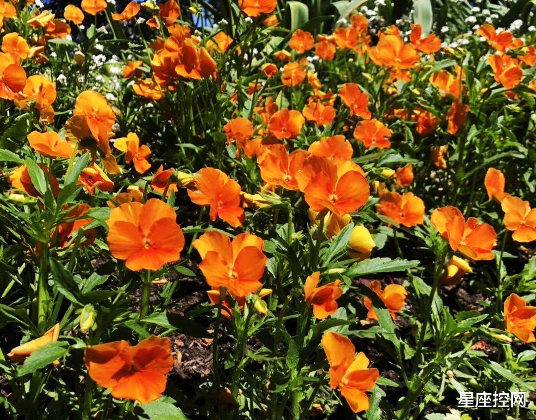 |啥日子出生的人，生活有奔头，5月撞大运，有贵人带着飞！