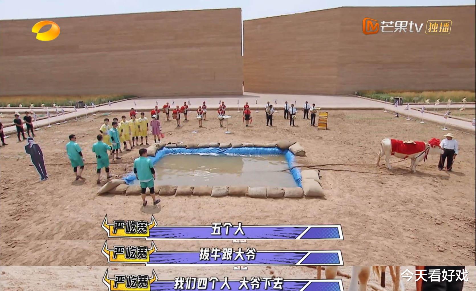 程潇|牛气满满的哥哥：你要相信，姜还是老的辣