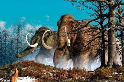 猛犸象 西伯利亚巨象的传说：猛犸象到底如何灭绝的？