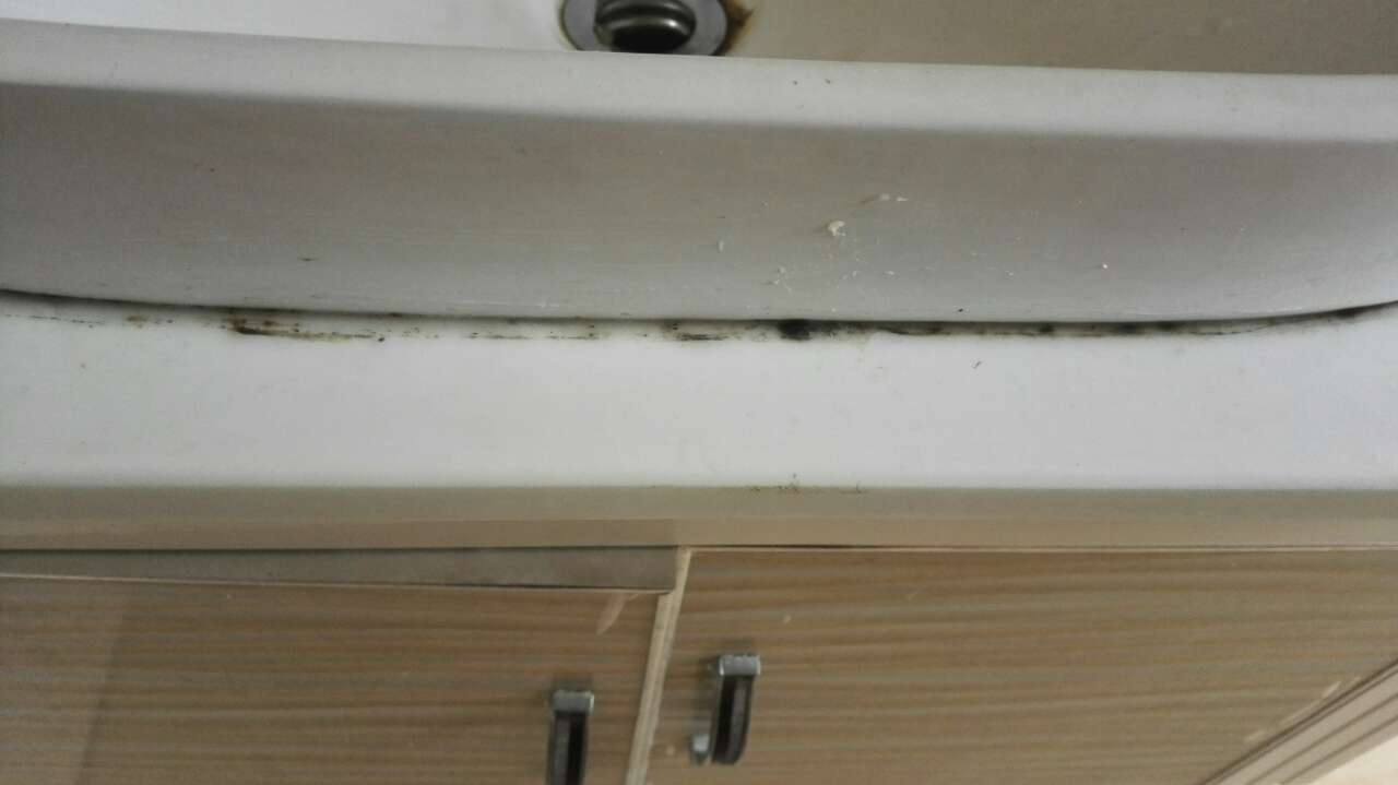 马桶上别挂毛巾架了!看看年轻人的做法,美观实用不占地方