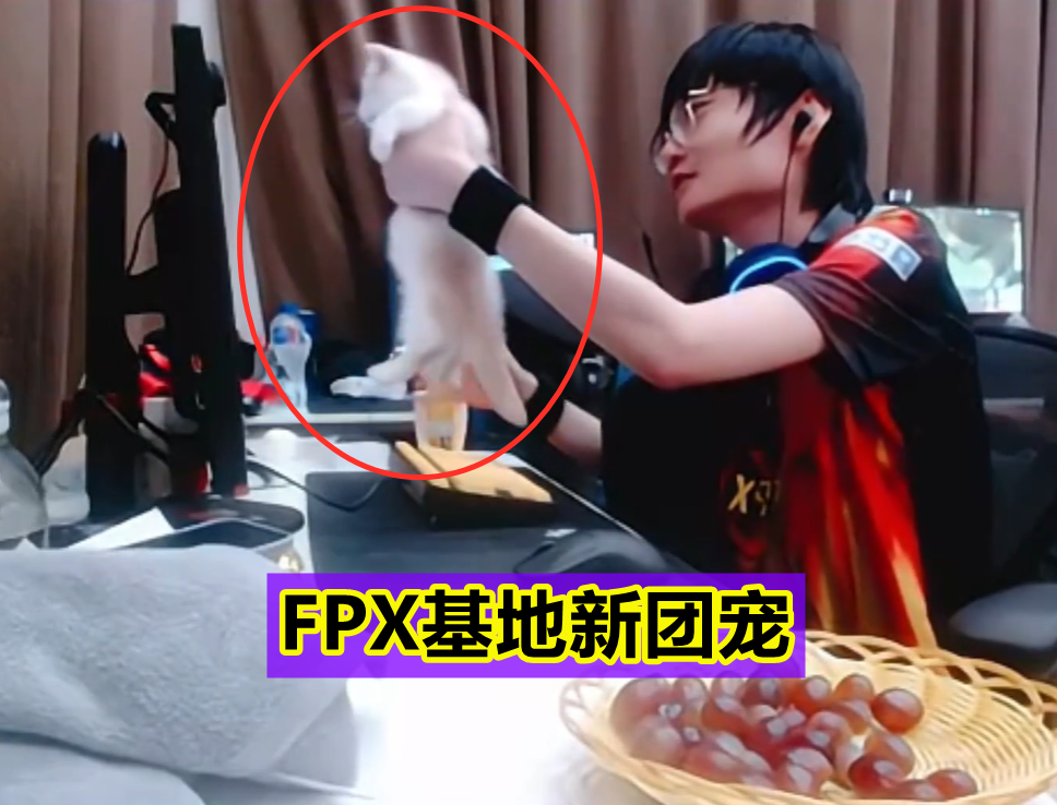 fpx战队|FPX新成员身价太离谱？宁王：这家伙身价四万多啊，比我还贵！