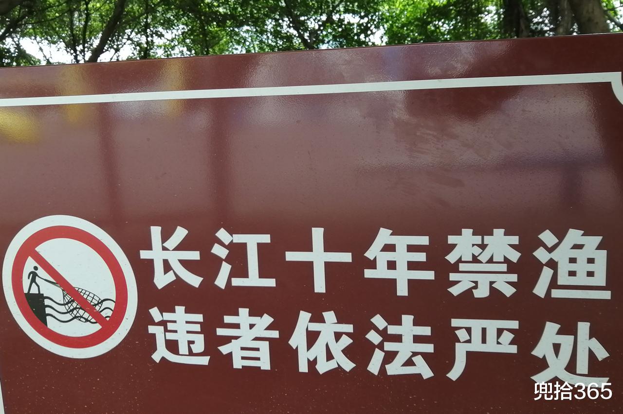 长江|长江里锚鱼发视频炫耀，当场被民警抓获，先前的嚣张瞬间焉了