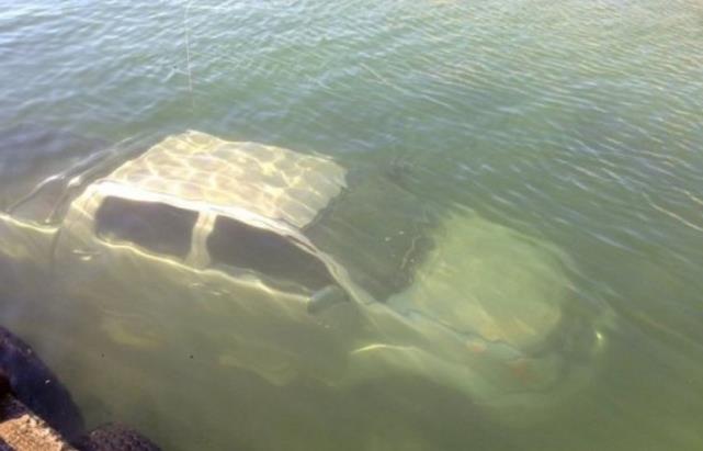 |男子钓鱼结果钓了个大家伙，回去论斤卖，也值不少钱