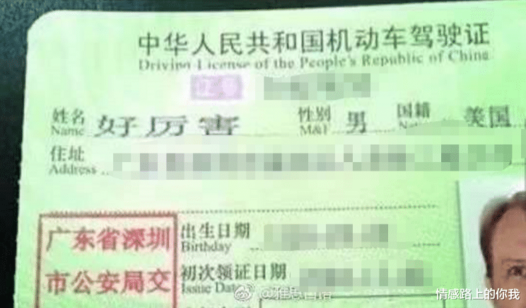 情感路上的你我|外国人起的爆款中文名，我看傻了！