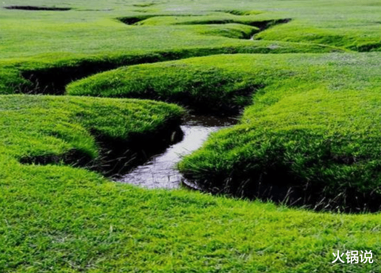 古镇 中国最窄的一条河：放本书便可以当做“桥”，一条鱼要挤着游过去