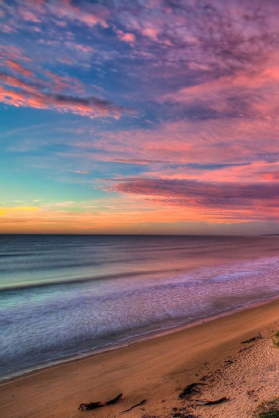 饵料|黑坑垂钓全流程(精髓)