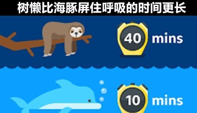 化石 冷知识普及：9个生活中的有趣事实，即便“真学霸”都未必知晓