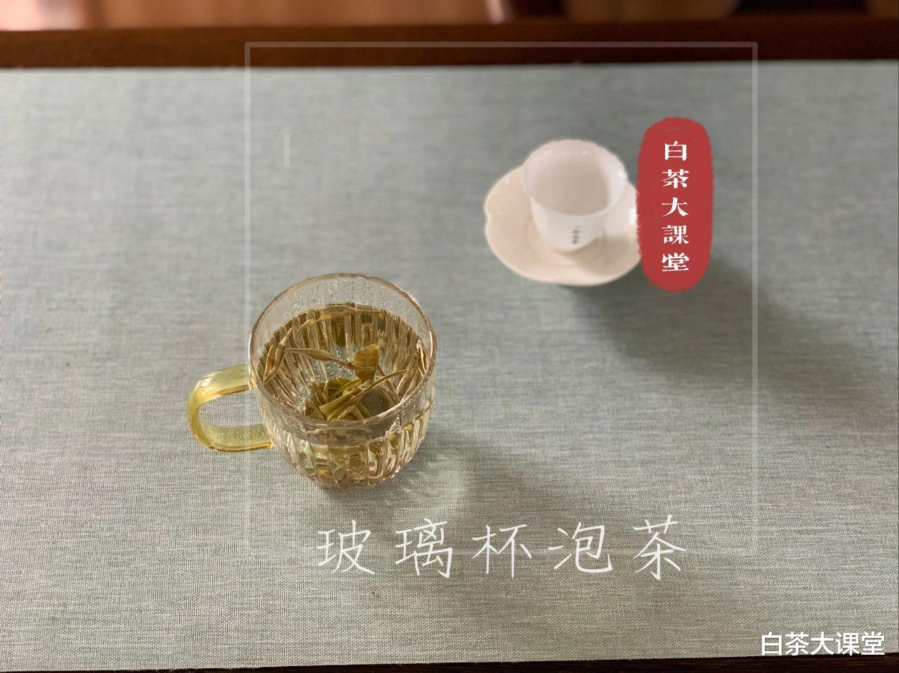 茶具|玻璃杯、白瓷盖碗、紫砂壶，哪个更适合冲泡老白茶？