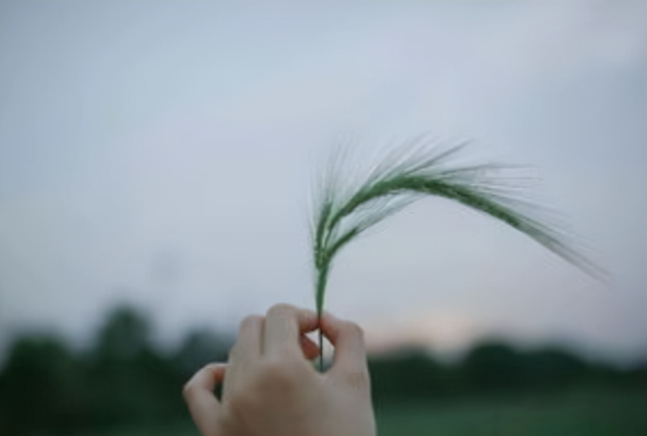 活着|人生有三道坎儿，全部迈过去也就赢了，可惜很多人输在第二